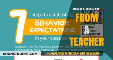 Understanding Student Expectations: What Do Students Want from a Teacher?