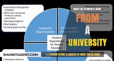 The University Experience: Student Expectations and Desires