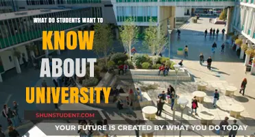 The University Experience: What Students Want to Know