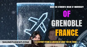 Grenoble University Students: What's Their Style?