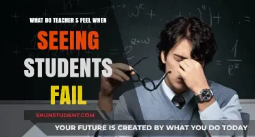 Teachers' Emotional Journey: Witnessing Student Failure and Its Impact