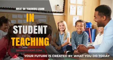 What Teachers Learn During Student Teaching: Insights and Growth