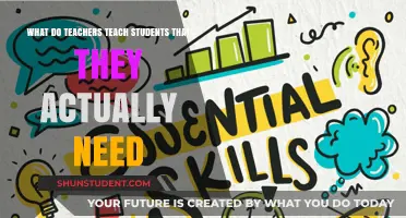 Essential Skills: What Teachers Teach Students for Real-World Success