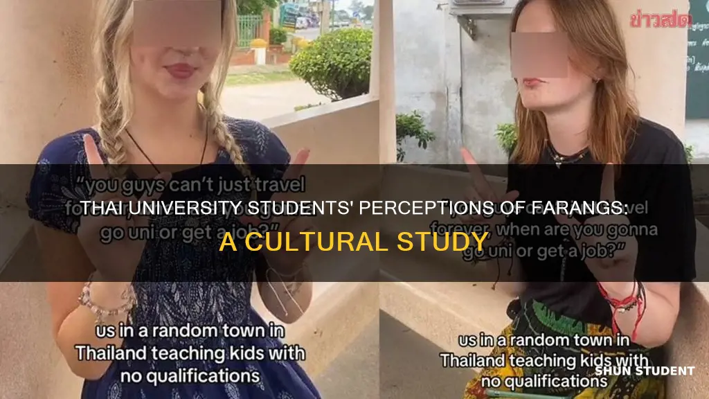 what do thai university students think of farangs