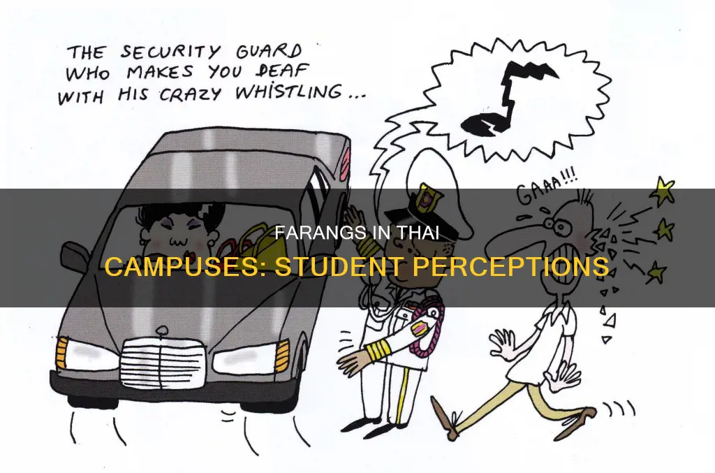 what do thai university students think of farangs