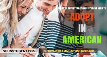 Adapting to America: A Guide for International Students