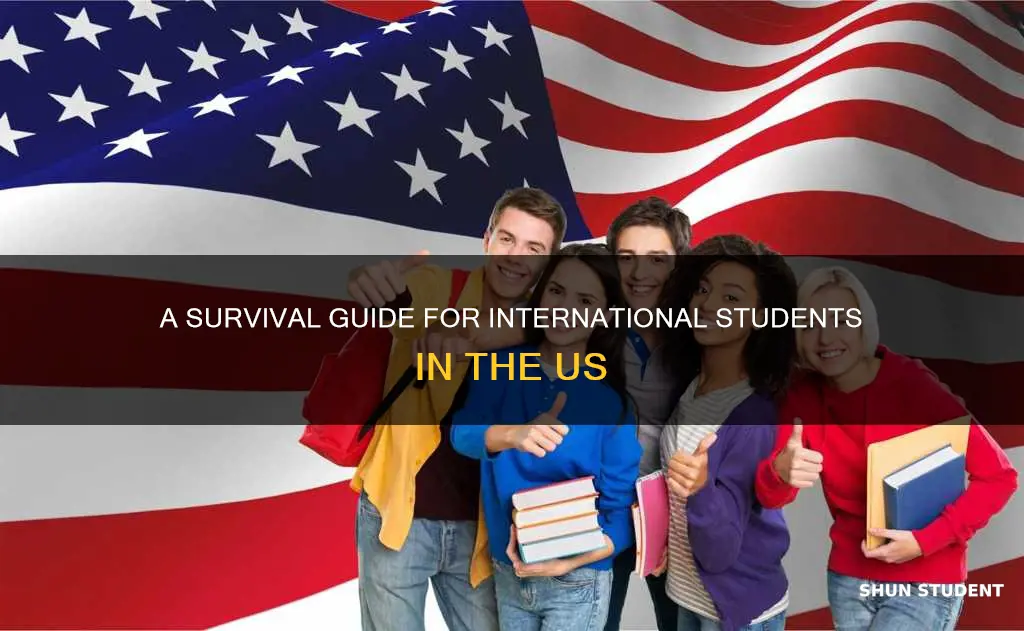 what do the international student need to live in american