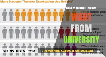 Transfer Students' University Expectations and Wants