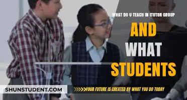 iTutor Group: Courses, Teaching Methods, and Student Success Stories