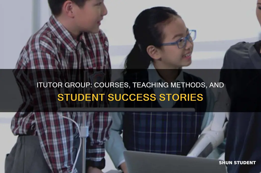 what do u teach in itutor group and what students