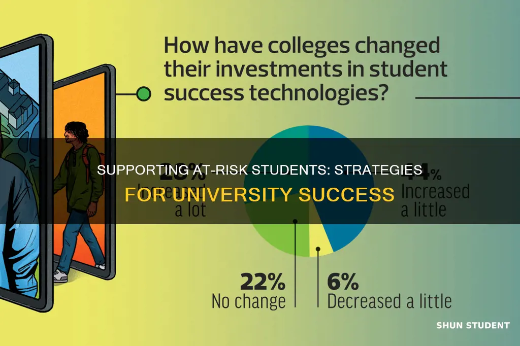 what do universities do with at risk students