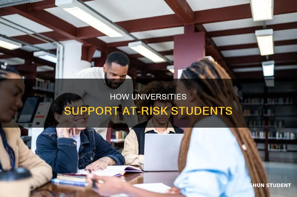what do universities do with at risk students
