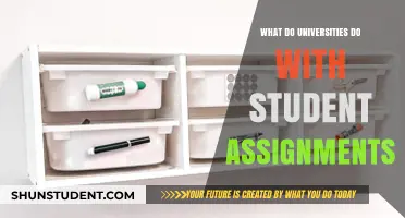 How Universities Handle Student Assignments
