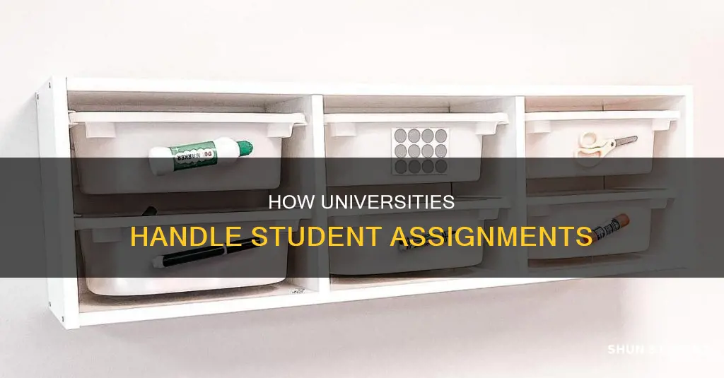 what do universities do with student assignments