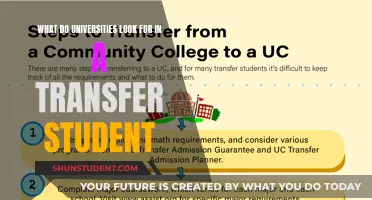 Unveiling the Secrets: What Universities Seek in Transfer Students