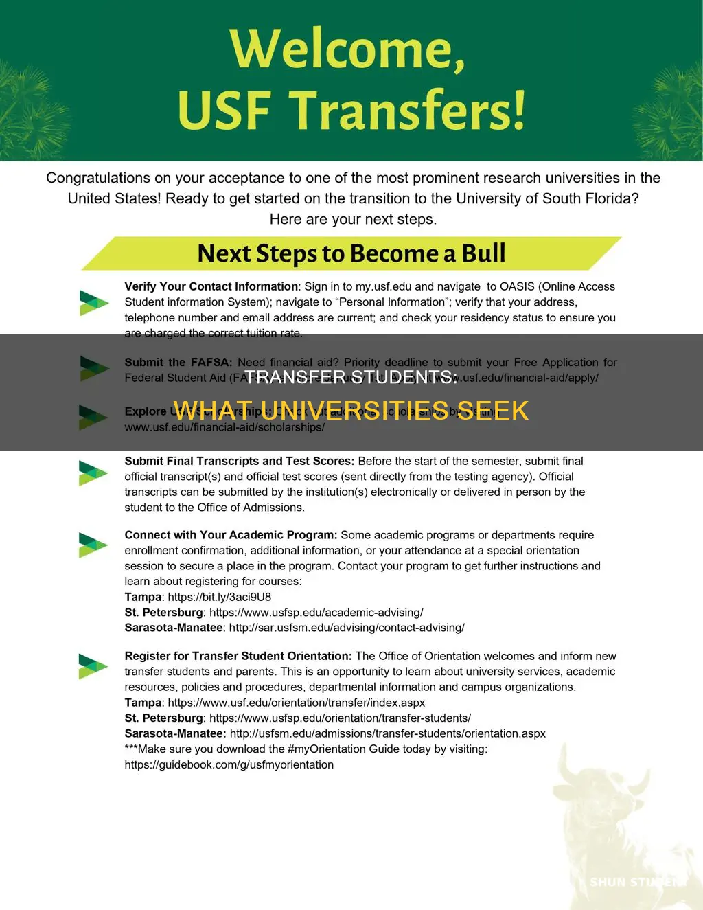 what do universities look for in a transfer student