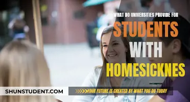 Universities' Support for Homesick Students: Navigating New Horizons