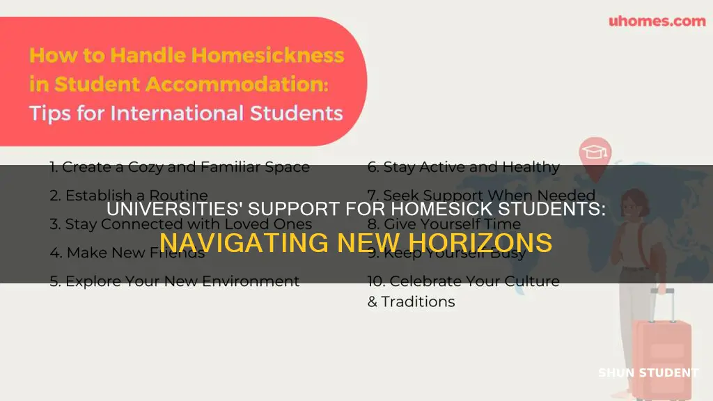 what do universities provide for students with homesickness