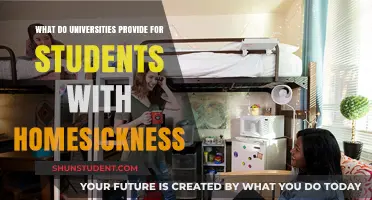 Universities' Support for Homesick Students