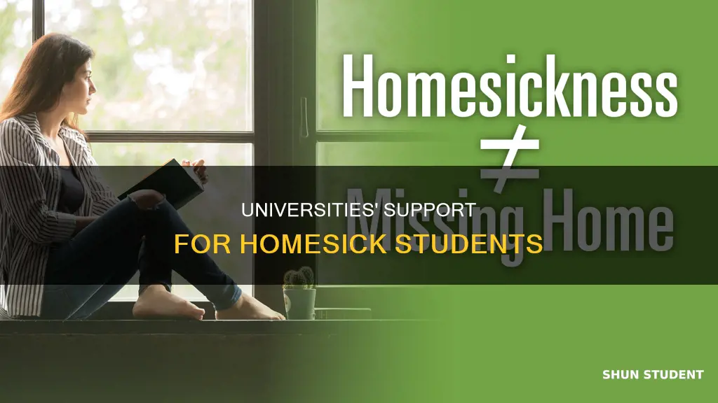 what do universities provide for students with homesickness