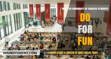 Explore Chicago: Fun Activities for University Students