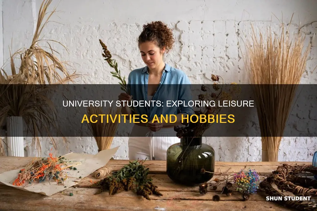 what do university students do in their spare time