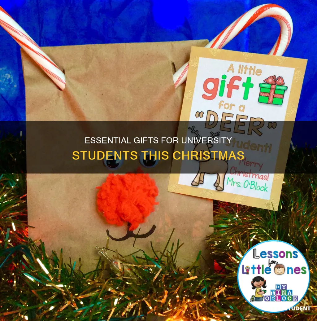 what do university students need for christmas