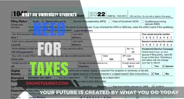 University Students: Tax Preparation Essentials