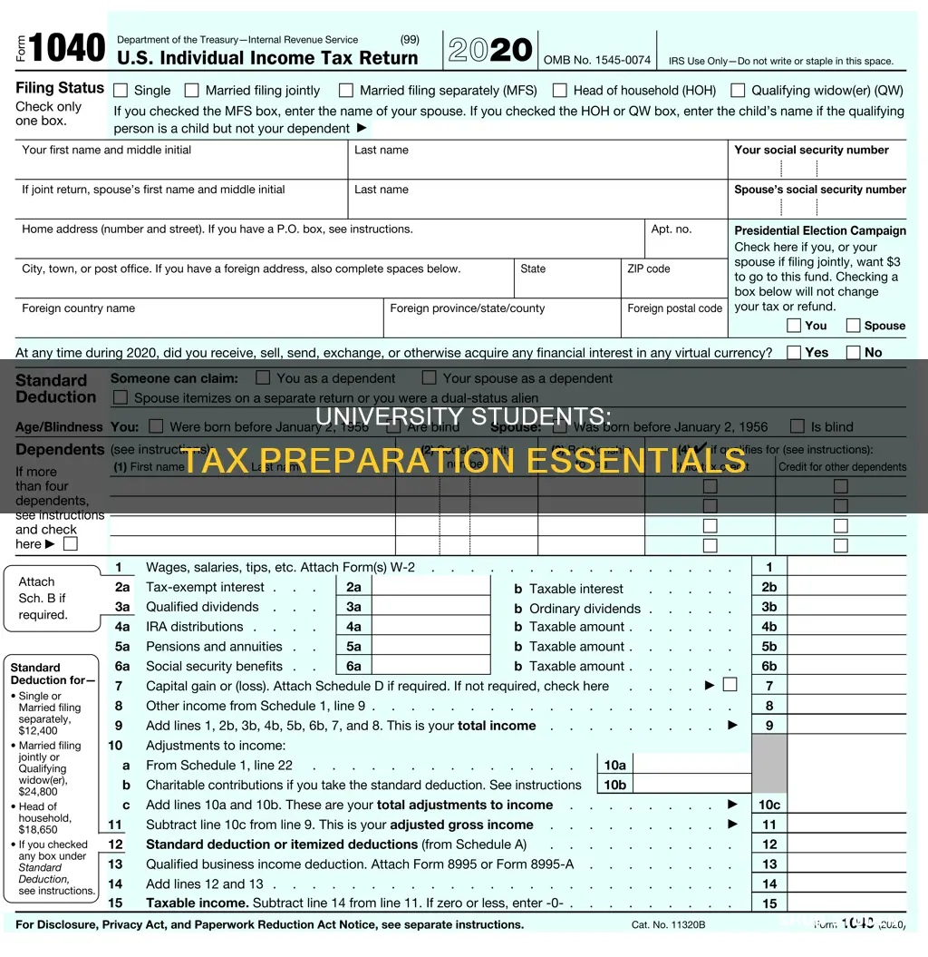 what do university students need for taxes