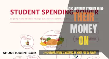 University Students' Spending Habits: A Deep Dive into Their Expenses