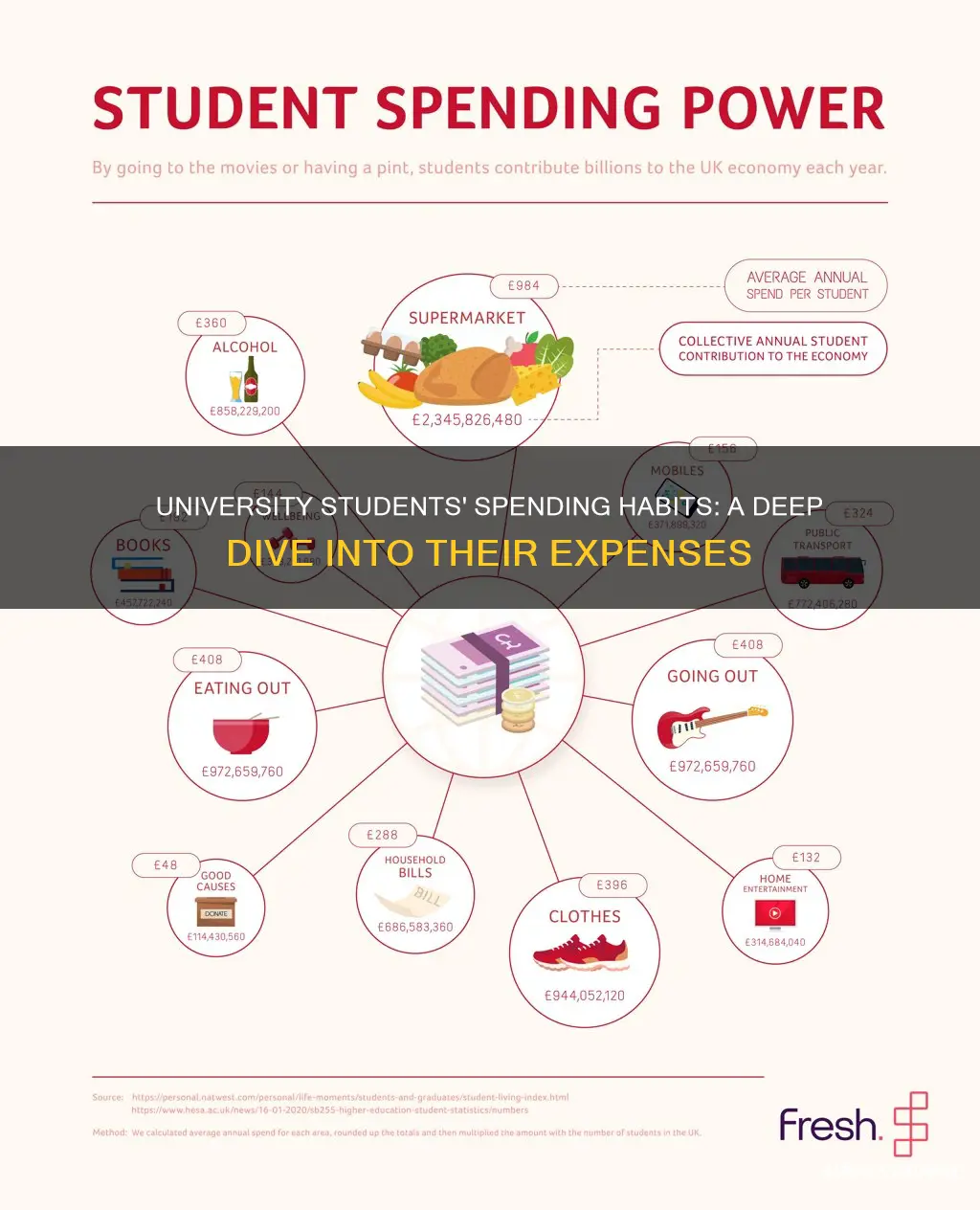 what do university students spend their money on