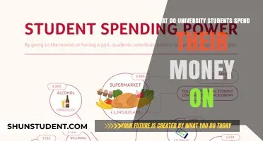 University Students' Spending: Where Does the Money Go?