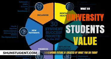 University Students: What Do They Value Most?