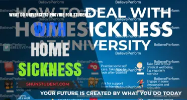 Combating Homesickness: University Support for Students