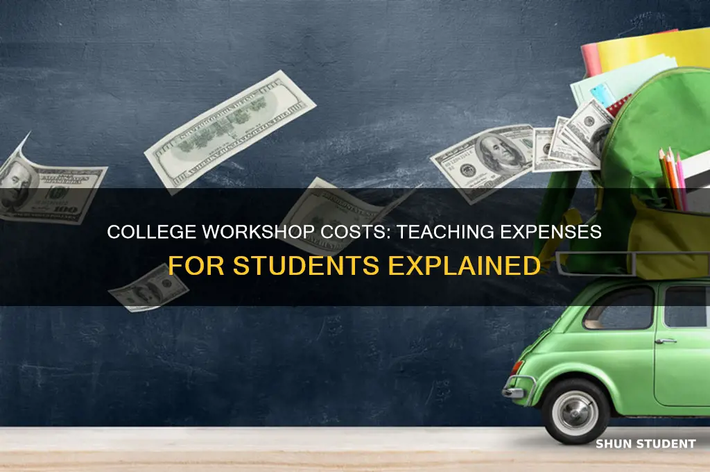 what do workshops cost to teach a college student