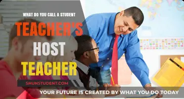 Understanding the Role: What’s the Title for a Student Teacher’s Host Educator?