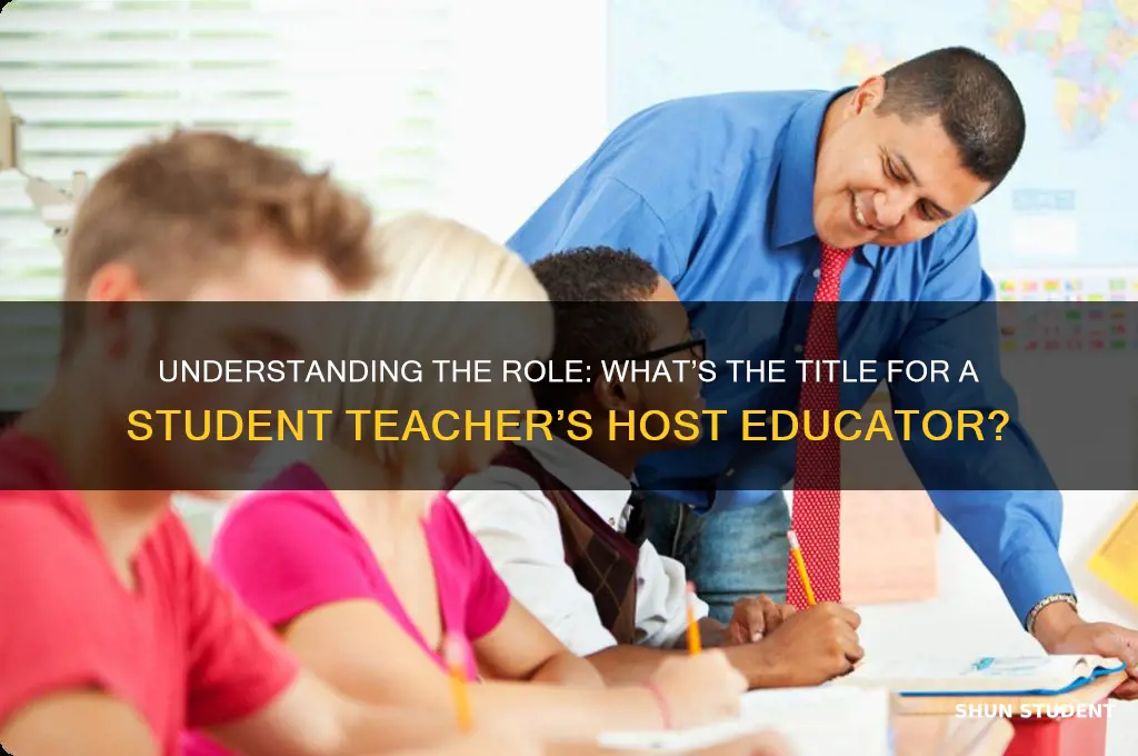 what do you call a student teacher