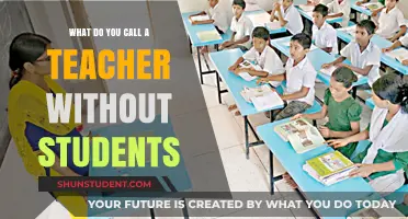 The Solitary Educator: Exploring the Identity of a Teacher Without Students