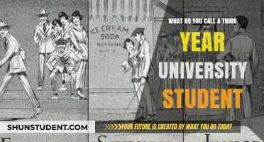 University Students: Third-Year Title and Transition