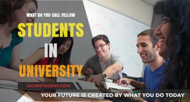 University Student's Addressing Dilemma: What's an Appropriate Title?