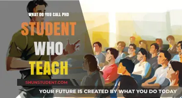 Teaching Scholars: Unveiling the Role of PhD Students as Educators