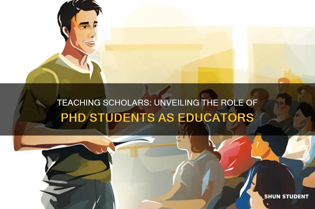 what do you call phd student who teach