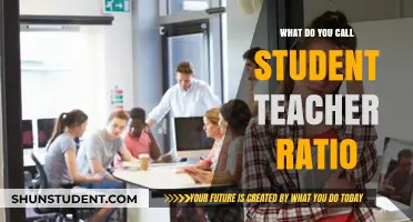 Understanding Student-Teacher Ratio: Key Terms and Definitions Explained