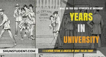 University Students: Year-Based Naming Conventions Explained
