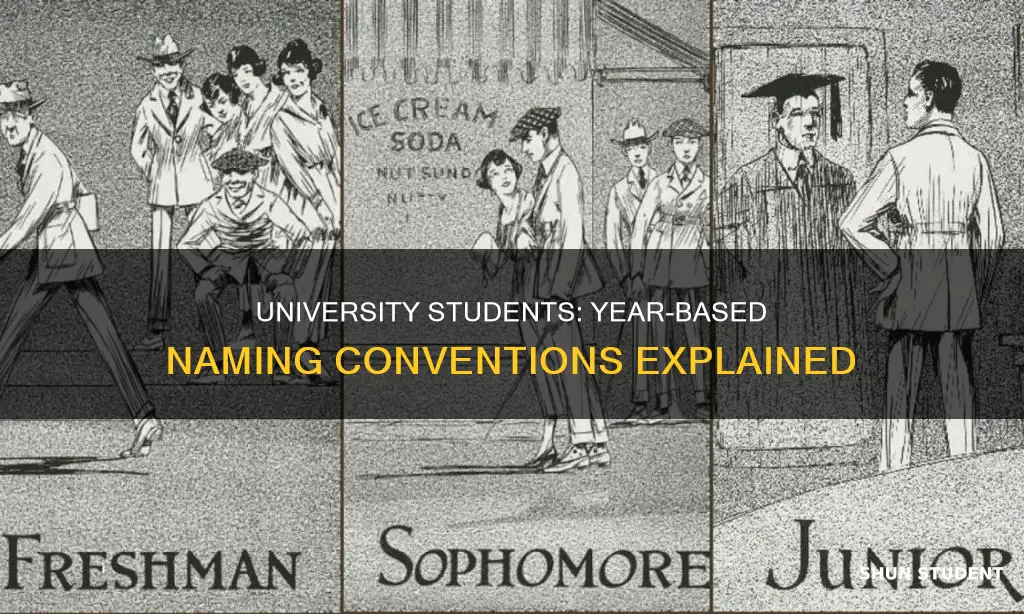 what do you call students at different years in university