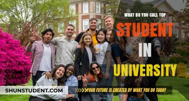 University Top Students: The Best of the Best