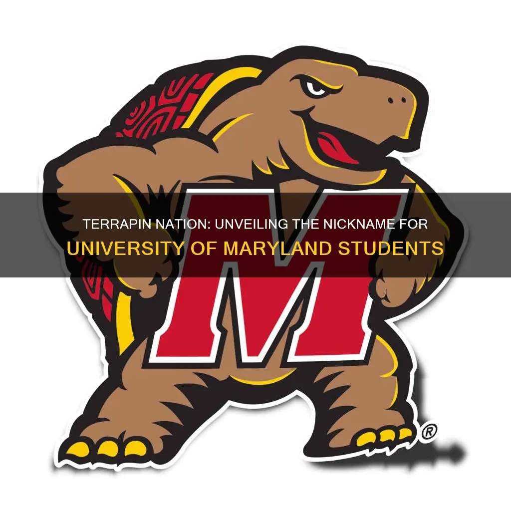 what do you call university of maryland students