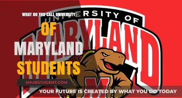 Terrapin Pride: What University of Maryland Students Are Called