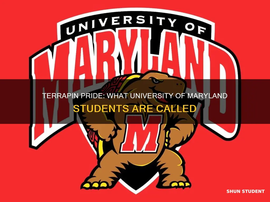 what do you call university of maryland students