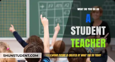 Student Teaching 101: Roles, Responsibilities, and Real-World Classroom Experience